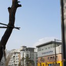 구립왕십리하나어린이집 이미지