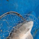 미원횟집 이미지