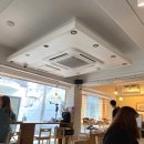 스테이히얼;투데이 | 부산대 카페 스테이히얼투데이 , 친구랑 케이크 먹으러 다녀옴