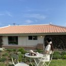 어 타이니 리틀피스 이미지