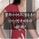 우주사 | 팔뚝다이어트 성공 후기_신사지방분해주사 내돈내산