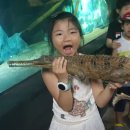 성광 태권도 이미지