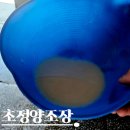 초정 | 청주 초정양조장 후기｜모리미부터 지역탁주·지역막걸리까지 직접 마셔본 후기
