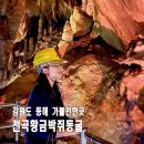 동해충전소 | 동해 실내 가볼만한곳 천곡 황금박쥐 동굴 주차 삼척 비오는날