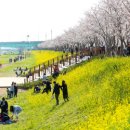 아이와함께하는k-pop댄스교실 이미지