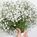 일산로135번길 이미지