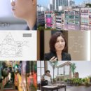 초등 창의 세계 역사 교실 이미지