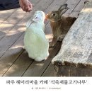 물고기마을 | 파주 헤이리마을 아기랑 갈만한 곳 석죽재물고기나무 카페