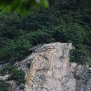 대전둘레산길(6구간) | 3차 대전둘레산길 6구간 - 금강길