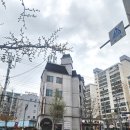 용바이오 | 광주 메이메이뷰티샵 봉선동다이어트 LPG엔더몰로지 바이오포톤 찐후기