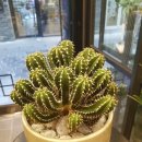 대정동물병원 이미지