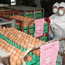 김용태농장 이미지