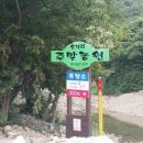 제14차 정기산행 : 경북청도 삼계리계곡 이미지