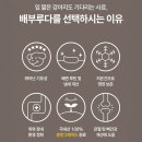 부루 | 🐶 강아지 알러지 사료 고민 끝! 우리 아이가 처음부터 잘 먹은 ‘배부루다’ 후기