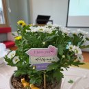 대전광역시립제2노인전문병원 | 원예치료사/원예수업전문기관/대전마음원예지도사/시니어원예수업/은행나무] -대전광역시립제2노인전문병원