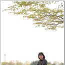 단혜