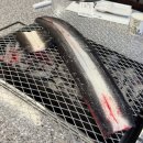 장어섬 | 오산 장어섬 다녀온 후기