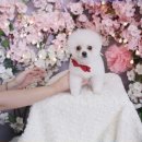 그루밍샵 0105 이미지