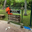 새롬카정비타운 | [푸꾸옥여행#17] 푸꾸옥 혼똔섬 케이블카와 혼똔섬 워터파크, 푸꾸옥 여행 필수 코스 후기