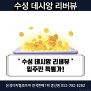 수성 데시앙 리버뷰