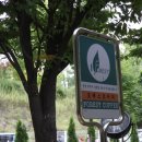 포레스트커피 이미지