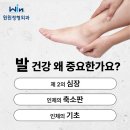 윈윈정형외과의원 이미지