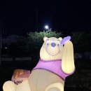 한몸 | 한몸 여행 대전 1박2일 코스 성심당 우암사적공원 곰돌이 푸 팝업스토어 푸크닉 오씨칼국수 한밭수목원