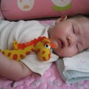 재윤농장 이미지