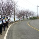 죽청마을 이미지