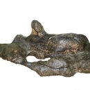 감자 바우 이미지