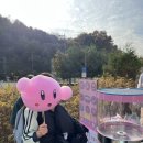 클라라음악교습소 네이버블로그
