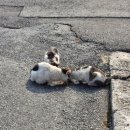 충청남도 금산군 복수면행정복지센터 이미지