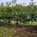 김기수농장 이미지