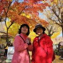 문경새재우체국 이미지