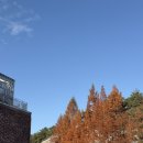 승희슈퍼 | 강릉 표류기 2025년 11월 셋째, 넷째주 이야기