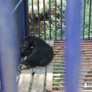 아기곰맘마 이미지