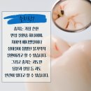 나오치과 네이버블로그