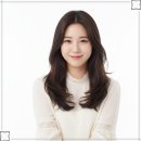 중앙 애견 미용실 이미지