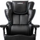 아레나 PC 이미지