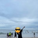 제주국제컨벤션센터 이미지