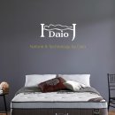 다이오(DAIO)