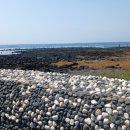 대정1리 이미지