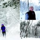 정방사길 이미지