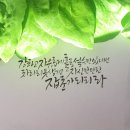 홀리오 이미지