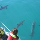 유크리에이션 이미지