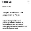 Tempus&Company 이미지