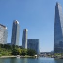 24시 인천동물병원 치료해주오 이미지