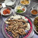 벙개포차 | 화정역 맛집 고기집 벙개막창! 막창 초보도 반한 15년 전통의 쫄깃한 소막창 &amp; 야장 감성 후기 🍻🔥