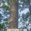 칠갑주차장 이미지