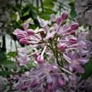 민원해결전문 행정사합동사무소 이미지